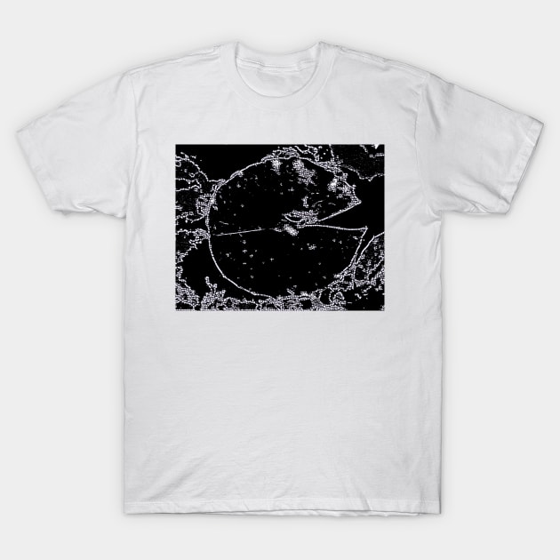 Pond Vision T-Shirt by Tovers